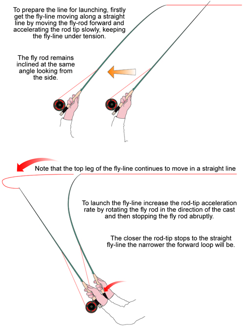 The casting sequence Flycasting Knowledgebase