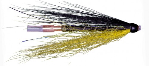 Black and Yellow Tube Fly