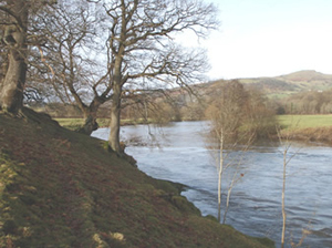 Duhonw pool at Glanwye