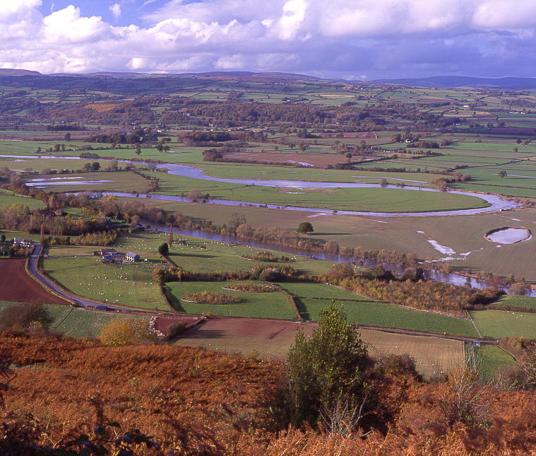 merbach hill