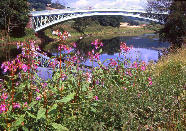 bigsweir_bridge
