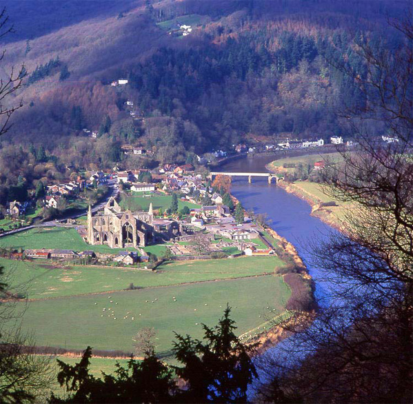 tintern